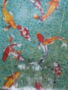 Fish mosaic