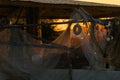 fish nets on wooden stakes on sunset in Murter, Dalmatia, Croatia