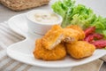 Fish nuggets and dip sauce on plate Royalty Free Stock Photo