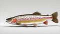 fish off a hook Rainbow trout fish isolated on white background. Side view. Royalty Free Stock Photo