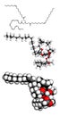 Fish oil triglyceride, molecular model Royalty Free Stock Photo