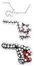 Fish oil triglyceride, molecular model