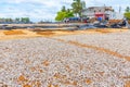 Fish and other seafood being dryed under the open sky in Negombo