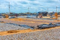 Fish and other seafood being dryed under the open sky in Negombo