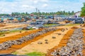 Fish and other seafood being dryed under the open sky in Negombo