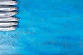 Fish pattern A group of anchovies on a blue background. Fish caught in the Ionian Sea, Italy, Apulia region, copyspace Royalty Free Stock Photo
