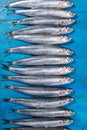 Fish pattern A group of anchovies spread out on a blue background. Ionian Sea, Italy, Apulia region Royalty Free Stock Photo