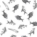 Fish pattern. Sketch of carp. Hand drawn vector illustrations. Vector sea and ocean creatures for seafood menu design. Royalty Free Stock Photo