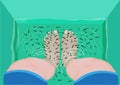 Fish Pedicure or Massage concept. Top View of Feet in a Spa Massage Tub Filled with Doctor Fish or Garra rufa. Editable Clip Art.