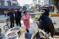 Fish pedlar and cormorants in street of sunny winter,China.