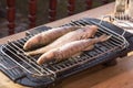 Fish perch baked at home on the grill Royalty Free Stock Photo