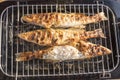 Fish perch baked at home on the grill Royalty Free Stock Photo