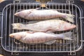 Fish perch baked at home on the grill Royalty Free Stock Photo