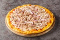 Fish pizza with tomato sauce, canned tuna, mozzarella cheese and red onion close-up on a wooden board. Horizontal Royalty Free Stock Photo