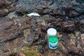 Fish and plastic buckets on the rocks of the Rio Vermelho beach