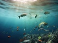 Fish and plastic pollution. Envrionmental problem - plastics contaminate seafood Royalty Free Stock Photo