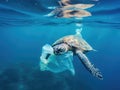 Fish and plastic pollution. Envrionmental problem - plastics contaminate seafood Royalty Free Stock Photo