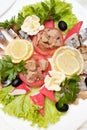 Fish plate Royalty Free Stock Photo