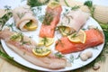 Fish plate Royalty Free Stock Photo
