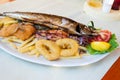 Fish plate Royalty Free Stock Photo