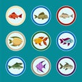 Fish on the plate icons set