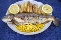 Fish in a plate with potato, lemon and corn. Salmonidae in a plate