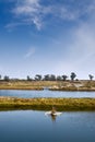 Fish pond Royalty Free Stock Photo