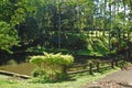 Fish pond at CCF Mount Makiling Recreation Center in Santo Tomas, Batangas, Philippines