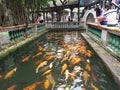 Fish pond China
