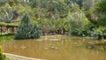 Fish pond fountain