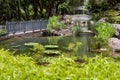 Fish pond in Hong Kong Park, Central District, Hong Kong Island