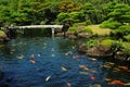 Fish Pond at Japanese Garden Royalty Free Stock Photo