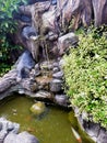 fish pond with small waterfall and flower garden Royalty Free Stock Photo