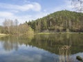 Fish pond with spruce tree hill and grass, road, birch tree and