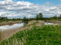 A fish pond, in the water of which there are colorful cumulus clouds and trees, there are recently dug gravel piles on the shore