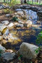 Fish Pond at a Wildflower Garden on Top of Mill Mountain