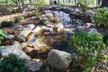 Fish Pond at a Wildflower Garden on Top of Mill Mountain