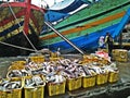 Fish port