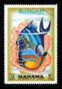 Fish on postage stamps Royalty Free Stock Photo