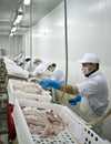 Fish processing Royalty Free Stock Photo