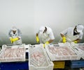 Fish processing assembly line Royalty Free Stock Photo