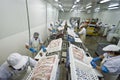 Fish processing factory Royalty Free Stock Photo