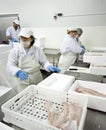 Fish processing factory