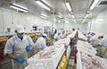 Fish processing factory Royalty Free Stock Photo