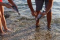 Fish processing outdoors Royalty Free Stock Photo
