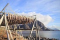 fish racks and Lofoten mounts