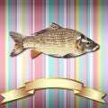 Fish realistic background and Gold ribbon