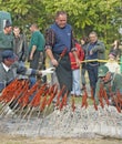 Fish in red paprika flour Royalty Free Stock Photo