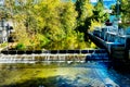 Fish Reflection Issaquah Creek Salmon Hatchery Washington Royalty Free Stock Photo