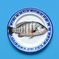 Tilapia On Plate Art Print - Blue And White Stripe Background